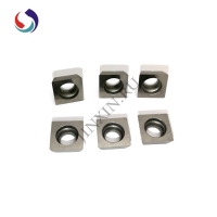 Carbide insert (10)